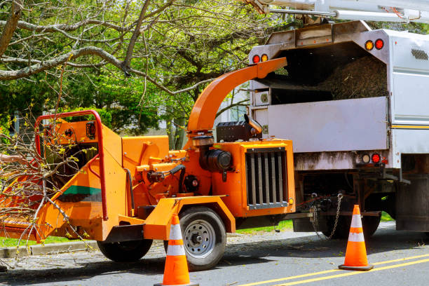 Best Firewood Processing and Delivery  in Inez, TX